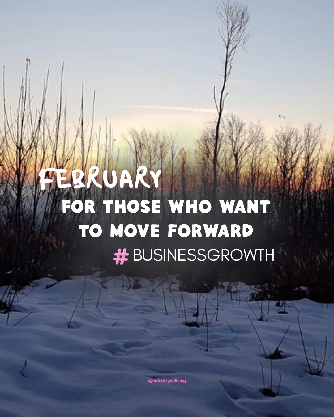 2027 February Calendar - Business Growth